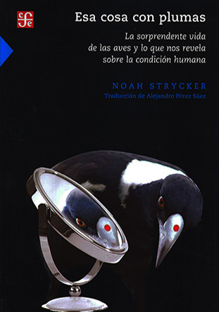 Thumbnail Image 1